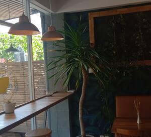 Mercato Coffee Bar Legian Bali